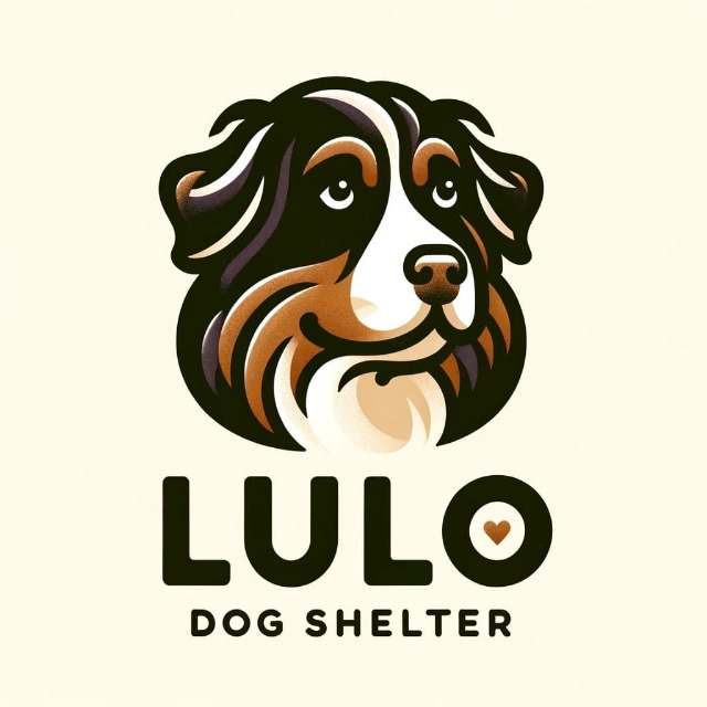 Fundacion Lulo